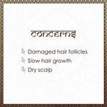 Buy Vayam Ayurveda Hair Growth Pack - Amla (40 g) | Ayurvedic | Natural | Herbal | Pure | Sulphate free | Paraben Free - Purplle