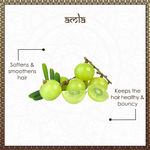 Buy Vayam Ayurveda Hair Growth Pack - Amla (40 g) | Ayurvedic | Natural | Herbal | Pure | Sulphate free | Paraben Free - Purplle
