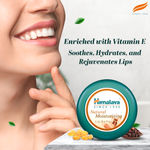 Buy Himalaya Natural Moisturizing Lip Butter (10 g) - Purplle