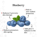 Buy Alps Goodness Blueberry Glow Facial Kit (33 g) - Purplle