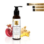 Buy Good Vibes Plus Volumizing + Deep Cleansing Shampoo - Pomegranate + Ginger (120 ml) - Purplle
