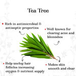 Buy Alps Goodness Pure Essential Oil - Tea Tree (10 ml) - Purplle