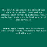 Buy Biotique Bio ocean kelp anti hair fall Shampoo (340 ml) - Purplle