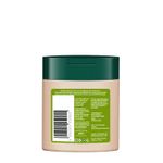 Buy Biotique Fresh Henna Colour Protect Shampoo with Conditioner 75 ml - Purplle