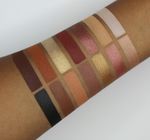 Buy Crown Earth Metals Eye Shadow Palette - Purplle