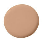 Buy Temptu Perfect Canvas Hydra Lock Foundation - 8 Toffee (7.5 ml) - Purplle