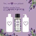 Buy Love Beauty & Planet Natural Argan Oil & Lavender No Frizz Conditioner (400 ml) - Purplle