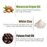 Buy WOW Skin Science Amazon Rainforest Collection White Clay Shampoo - Purplle