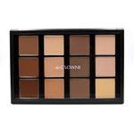 Buy Crown Conceal and Contour CP10 Makeup Palette - Purplle