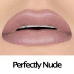 Buy Crown Perfectly Nude Matte Lipstick LS03 - Purplle