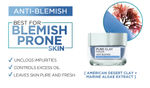 Buy L'Oreal Paris Anti-Blemish Pure Clay Mask (50 g) - Purplle