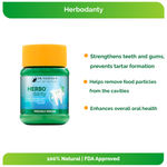 Buy Dr. Vaidya's Herbodanty Powder Pack of 2 - Natural Tooth Powder - Purplle