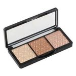 Buy Swiss Beauty Bronzing Palette (3 in 1) (SB-828-02) (4.4 g) - Purplle