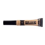 Buy PAC Take Cover Concealer - 01 (Beach Sand) - Purplle