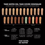 Buy PAC Take Cover Concealer - 22 (Rusty Orange) - Purplle