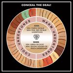 Buy PAC Take Cover Concealer - 22 (Rusty Orange) - Purplle