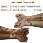 Buy PAC Take Cover Concealer - 22 (Rusty Orange) - Purplle