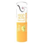 Buy Olivia Musk Melon Fab Lip Balm Jojoba Oil & Vitamin E for Glowing Lips (4.3 g) - Purplle