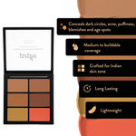 Buy Purplle Concealer Palette, Covert Operation Guardian - Special Agent 3 (12 g) - Purplle
