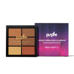 Buy Purplle Concealer Palette, Covert Operation Guardian - Field Agent 4 (12 g) - Purplle