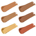 Buy Purplle Concealer Palette, Covert Operation Guardian - Field Agent 4 (12 g) - Purplle