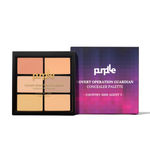 Buy Purplle Concealer Palette, Covert Operation Guardian - Country - Side Agent 5 (12 g) - Purplle