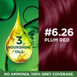 Buy Garnier Color Naturals Ultra Color, 6.26 Plum Red, (55 ml + 50 g) - Purplle