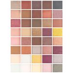 Buy Nicka K Perfect Forty Colors - Classic Eyeshadow Palette (88 g) - Purplle