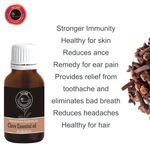 Buy Avnii Organics Natural & Pure Clove Essential Oil For Hair Care, Acne, Toothache & Aroma Diffuser (15 ml) - Purplle