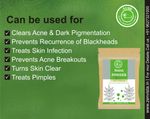 Buy Avnii Organics 100% Organic Neem Powder: Good for both Face and Hair - Purplle