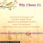 Buy Avnii Organics 100% Organic Neem Powder: Good for both Face and Hair - Purplle