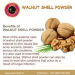 Buy Avnii Organics Walnut Shell Powder For Face Scrub for Dead Skin Cells & Blackheads, Can be used Directly and Mixed with Face Pack (50 g) - Purplle