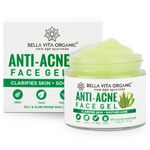 Buy Bella Vita Organic Anti Acne Cream Gel & Pimple Face Gel with Neem, Tulsi & Aloe Vera (60 g) - Purplle