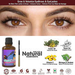 Buy Bella Vita Organic GrowBrow Brow & Lash Oil(12ml) - Purplle