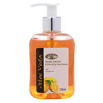 Buy Aloe Veda Sweet Lemon Moisturising Hand Wash With Orange Oil 250 ml - Purplle