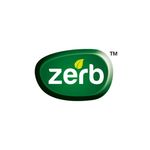 Buy Zerb Mint Face Scrub 500g With Anti Pollution Activated Charcoal Face Wash (100 ml) - Purplle