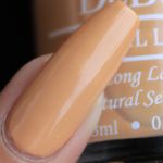 Buy DeBelle Gel Nail Lacquer Creme Almond Blush - Orange Brown, (8 ml) - Purplle