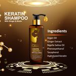 Buy Qraa Men Keratin Shampoo With Ginger & Biotin for Nourished and Thick Hair- Sulfate & Paraben Free, (200 ml) Shampoo - Purplle