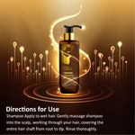 Buy Qraa Men Keratin Shampoo With Ginger & Biotin for Nourished and Thick Hair- Sulfate & Paraben Free, (200 ml) Shampoo - Purplle