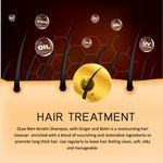 Buy Qraa Men Keratin Shampoo With Ginger & Biotin for Nourished and Thick Hair- Sulfate & Paraben Free, (200 ml) Shampoo - Purplle