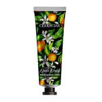 Buy Colorbar Fruit Drop Hand Cream Neroli Nights (30 g) - Purplle