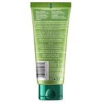 Buy Biotique Bio Morning Nectar Visibly Flawless Face Scrub (100 g) - Purplle