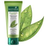 Buy Biotique Bio Morning Nectar Visibly Flawless Face Scrub (100 g) - Purplle