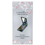 Buy Cameleon 36 Color Eyeshadow kit - E36 - Purplle
