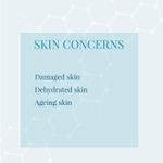 Buy DermDoc Barrier Protect Face Serum with Hyaluronic Acid & Niacinamide (10 ml) - Purplle