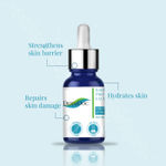 Buy DermDoc Barrier Protect Face Serum with Hyaluronic Acid & Niacinamide (10 ml) - Purplle