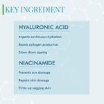 Buy DermDoc Barrier Protect Face Serum with Hyaluronic Acid & Niacinamide (10 ml) - Purplle