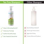 Buy Mamaearth Tea Tree Anti Dandruff Shampoo, With Tea Tree & Ginger Oil (250 ml) - Purplle