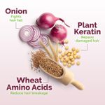 Buy Mamaearth Onion Shampoo for Hair Growth & Hair Fall Control with Onion Oil & Plant Keratin (400 ml) - Purplle