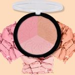 Buy Cameleon 3 Colors Professional Bronzer 01 - Purplle